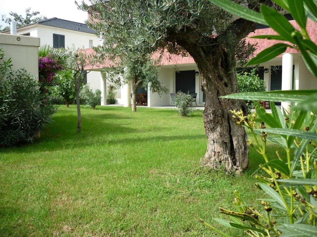 Hotel Marea Santa-Lucia-di-Moriani Εξωτερικό φωτογραφία